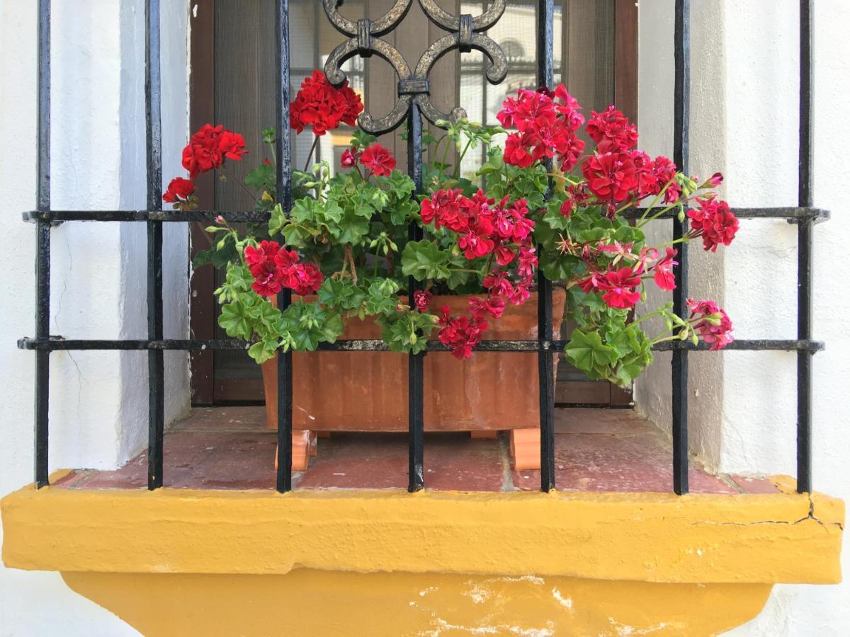 La Escondida Ronda, B&B Buitenkant foto
