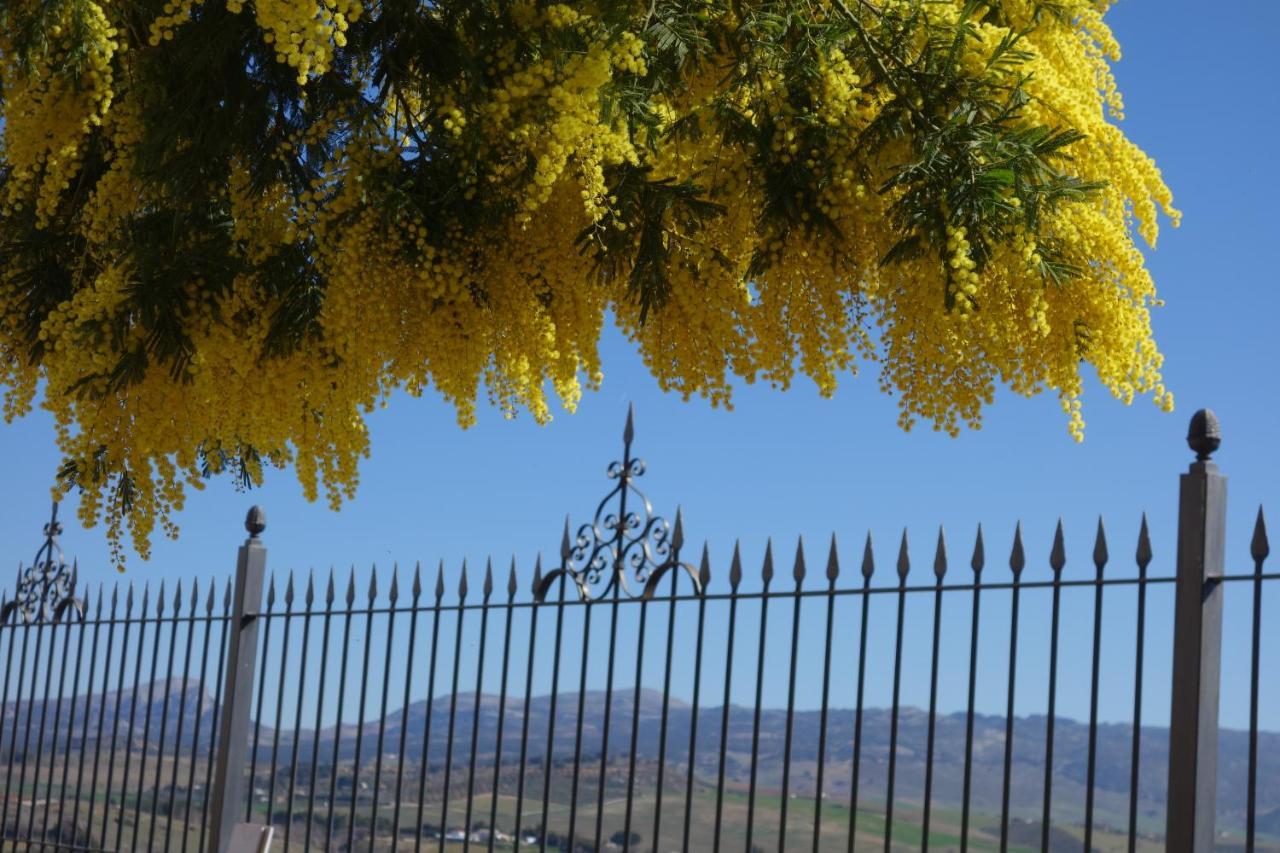 La Escondida Ronda, B&B Buitenkant foto